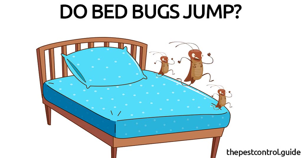 Do Bed Bugs Jump Like Fleas