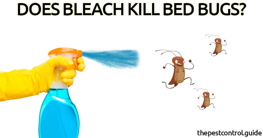 Does Bleach Kill Bed Bugs